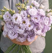 Load image into Gallery viewer, 🔥Hot Sale 50% OFF🌱 Lisianthus Seeds