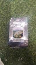Load image into Gallery viewer, š± Home Grow Jasmine Magic! šøāØ Fragrant blooms in your garden! šæš