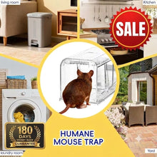 Load image into Gallery viewer, 🐭 Humane Live-Catch & Release Mouse Trap🛡️180-Day Money-Back Guarantee