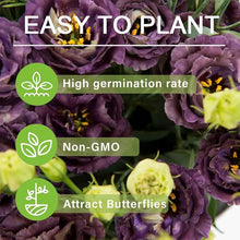 Load image into Gallery viewer, 🔥Hot Sale 50% OFF🌱 Lisianthus Seeds