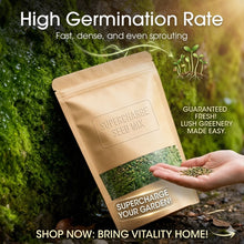 Load image into Gallery viewer, 🔥Premium-Grade Moss Spore Powder🔥😍
