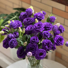 Load image into Gallery viewer, 🔥Hot Sale 50% OFF🌱 Lisianthus Seeds
