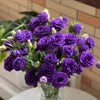 🔥Hot Sale 50% OFF🌱 Lisianthus Seeds