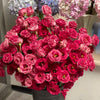 🔥Hot Sale 50% OFF🌱 Lisianthus Seeds