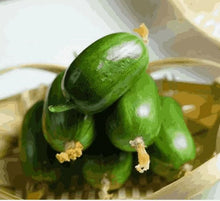 Load image into Gallery viewer, 🥒 Cucumber Golden Boy Lady Seeds – 50% OFF! 🔥
