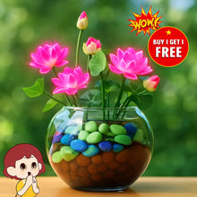 Load image into Gallery viewer, 🌺 Bonsai Lotus Flower Seeds 🔥
