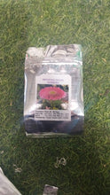 Load image into Gallery viewer, 🌸 Blossom Burst Multiflora Seeds – 50% OFF! 🌺
