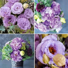 Load image into Gallery viewer, 🔥Hot Sale 50% OFF🌱 Lisianthus Seeds
