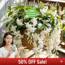 Load image into Gallery viewer, 🌱 Home Grow Jasmine Magic! 🌸✨ Fragrant blooms in your garden! 🌿💚
