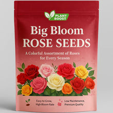 Load image into Gallery viewer, 🌹 Elegant Climbing Rose Flower Seeds🌹
