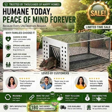 Load image into Gallery viewer, 🐭 Humane Live-Catch &amp; Release Mouse Trap🛡️180-Day Money-Back Guarantee
