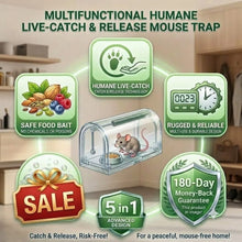 Load image into Gallery viewer, 🐭 Humane Live-Catch &amp; Release Mouse Trap🛡️180-Day Money-Back Guarantee
