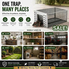 Load image into Gallery viewer, 🐭 Humane Live-Catch &amp; Release Mouse Trap🛡️180-Day Money-Back Guarantee
