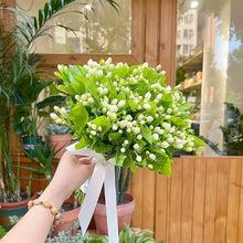 Load image into Gallery viewer, 🌱 Home Grow Jasmine Magic! 🌸✨ Fragrant blooms in your garden! 🌿💚
