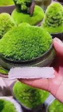 Load and play video in Gallery viewer, 🔥Premium-Grade Moss Spore Powder🔥😍
